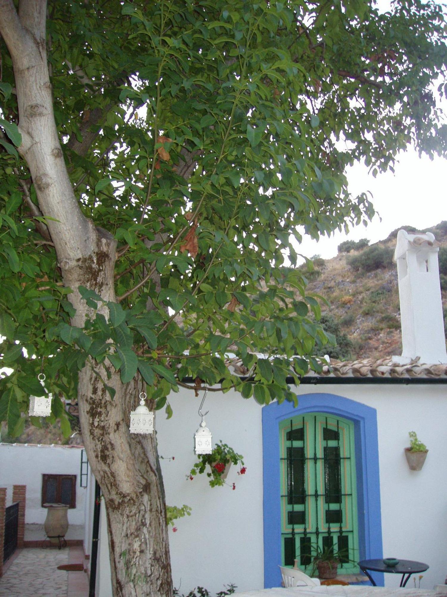 El Rincon De Carmen Pension Rute Buitenkant foto